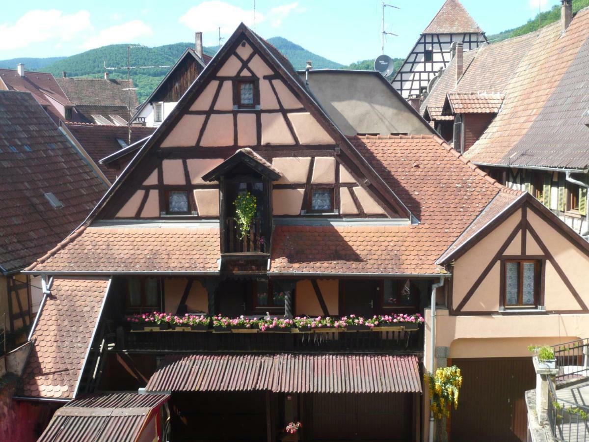 La Cour Des Meuniers - Le Froment Et L'Epeautre Lejlighed Kaysersberg-Vignoble Eksteriør billede